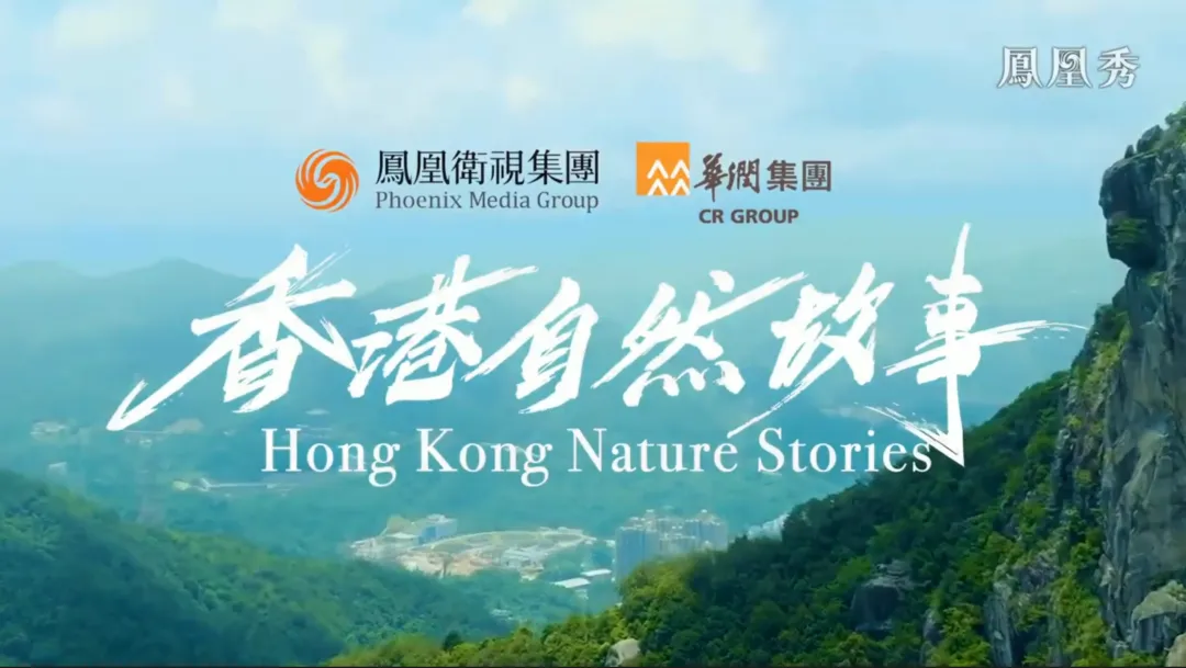 应急管理部救援队目录装备 | 志蓝技术 - 潜水通信定位系统